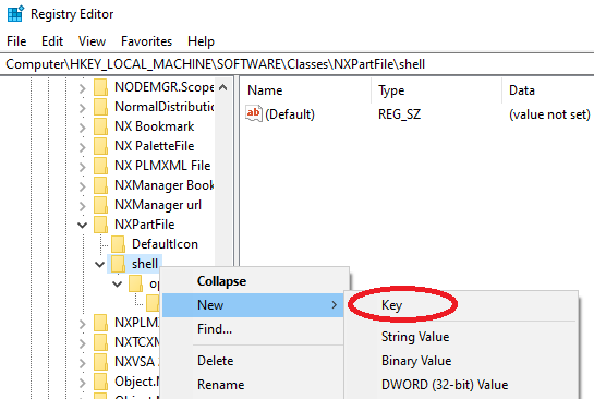 NX Regedit 1