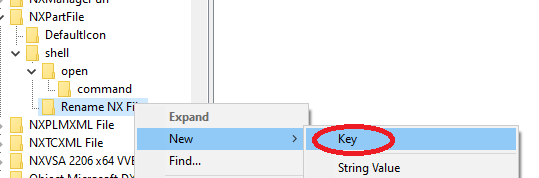 NX Regedit 2